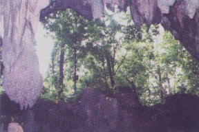 Cave