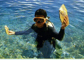 Pearl Farm